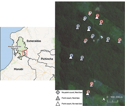 Details are in the caption following the image Details are in the caption following the image