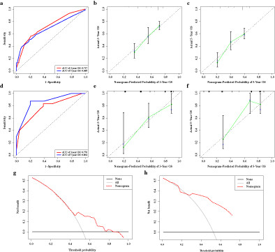 Identification and validation of an individualized prognostic signature of lung squamous cell carcinoma based on ferroptosis-related genes