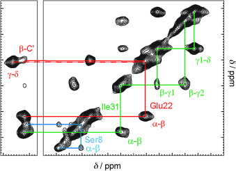 Structural Basis of β-Amyloid-Dependent Synaptic Dysfunctions