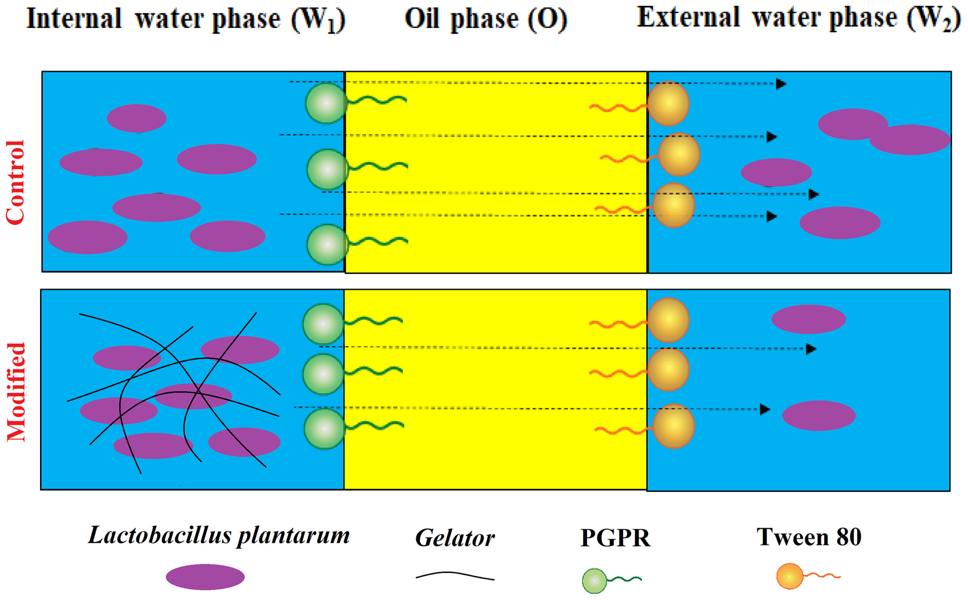 The internal aqueous phase gelation improves the viability of probiotic cells in a double water/oil/water emulsion system