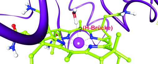 A Biologically Relevant Co1+⋅⋅⋅H Bond: Possible Implications in the Protein-Induced Redox Tuning of Co2+/Co1+ Reduction