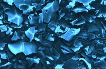 Conversion of Calophyllum inophyllum Oil with a High Free Fatty Acid Content to Biodiesel using a Starch-Derived Catalyst