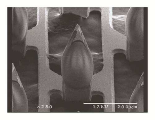 Details are in the caption following the image