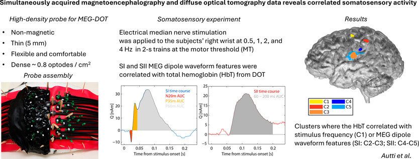 Simultaneously Acquired Magnetoencephalography and Diffuse Optical Tomography Data Reveals Correlated Somatosensory Activity