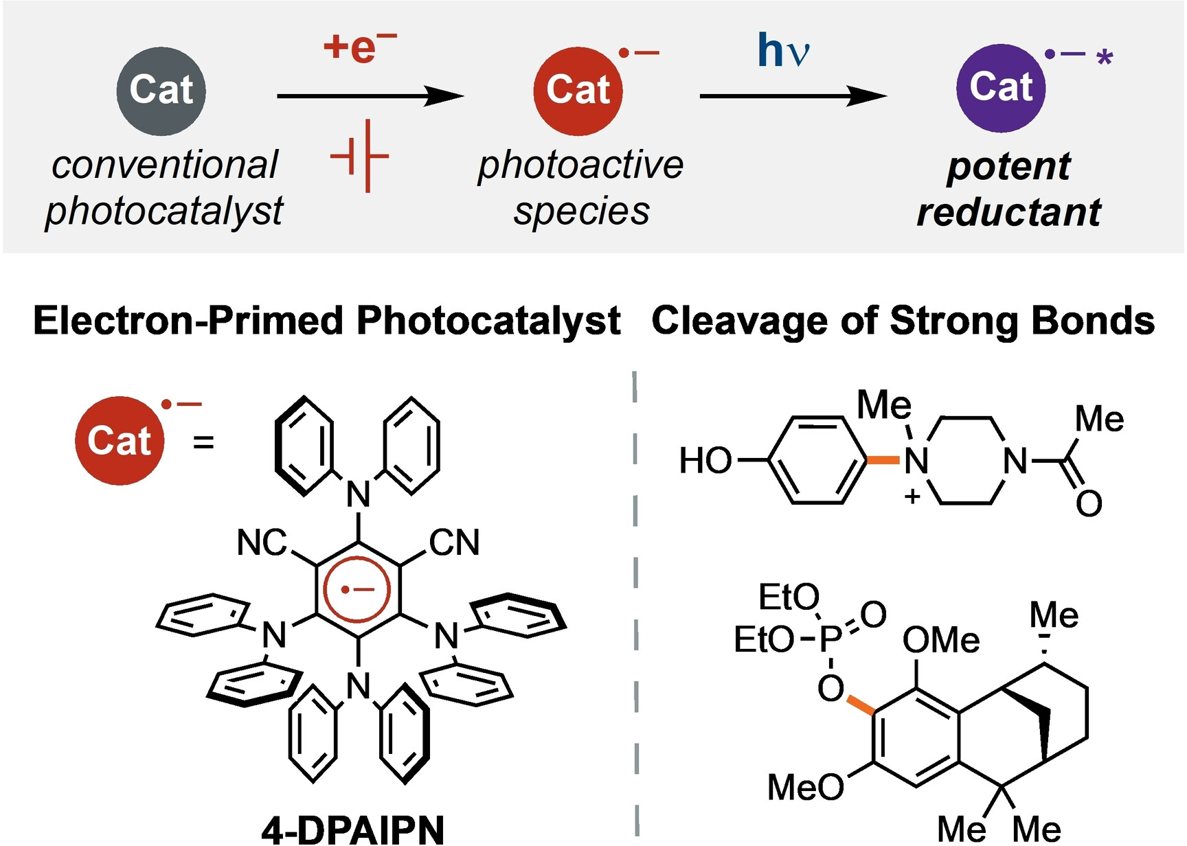 Electrochemical Activation of Diverse Conventional Photoredox Catalysts Induces Potent Photoreductant Activity**