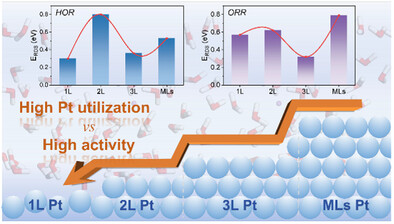 Atomic Layer Thickness Modulated the Catalytic Activity of Platinum for Oxygen Reduction and Hydrogen Oxidation Reaction