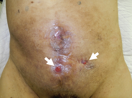 Details are in the caption following the image Details are in the caption following the image