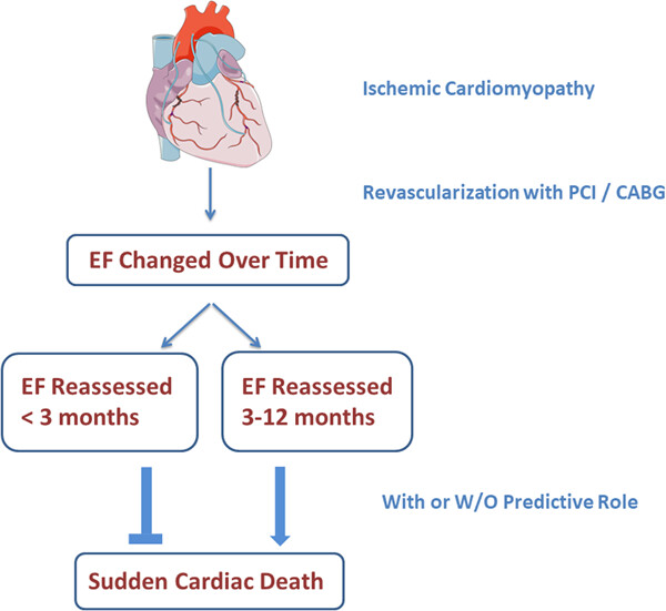 Appropriate time for ejection fraction reassessment after revascularization in patients with left ventricular dysfunction for risk stratification of sudden cardiac death