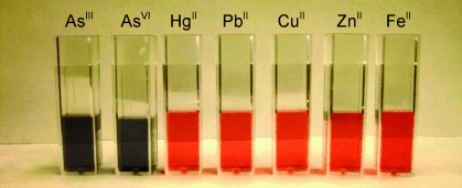 Use of Gold Nanoparticles in a Simple Colorimetric and Ultrasensitive Dynamic Light Scattering Assay: Selective Detection of Arsenic in Groundwater