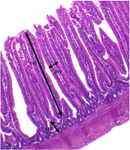 Details are in the caption following the image Details are in the caption following the image