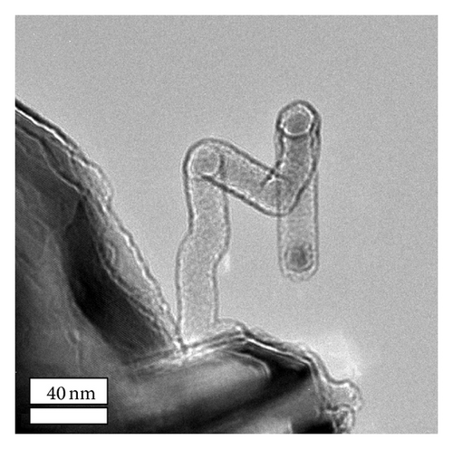 Details are in the caption following the image