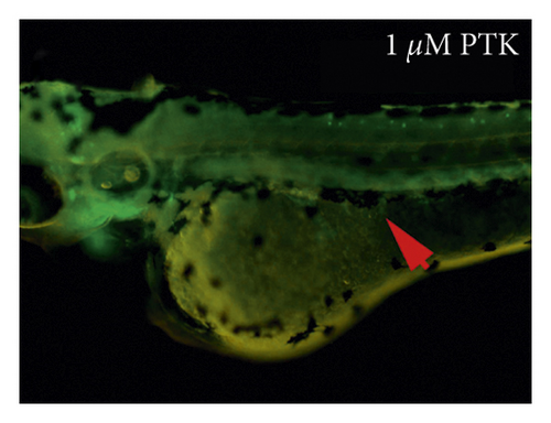 Details are in the caption following the image