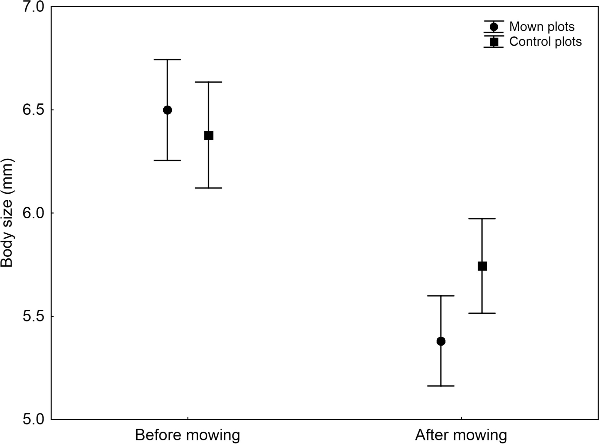 Effects of mowing on body size patterns in spider assemblages of mesic meadows