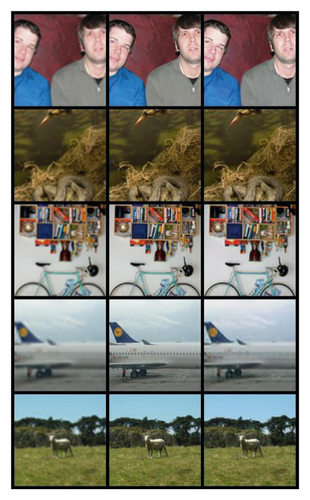 Details are in the caption following the image Details are in the caption following the image