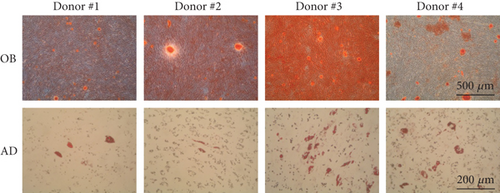 Details are in the caption following the image Details are in the caption following the image