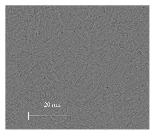 Details are in the caption following the image