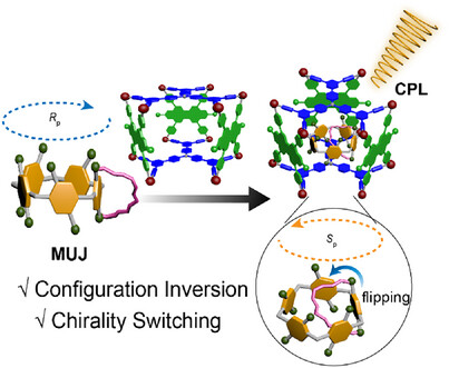 Host–guest complexation-induced chirality switching of pillararenes by perylene diimide-based hexagonal metallacages Issue 6, 2024