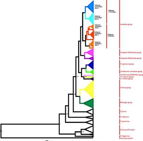 Details are in the caption following the image
