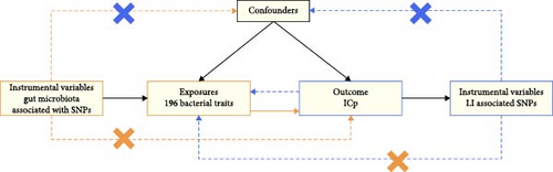 Details are in the caption following the image Details are in the caption following the image