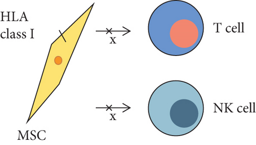 Details are in the caption following the image
