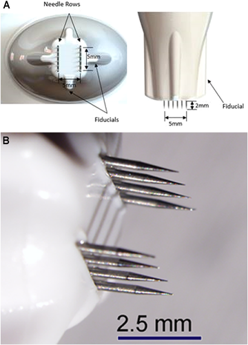Details are in the caption following the image Details are in the caption following the image