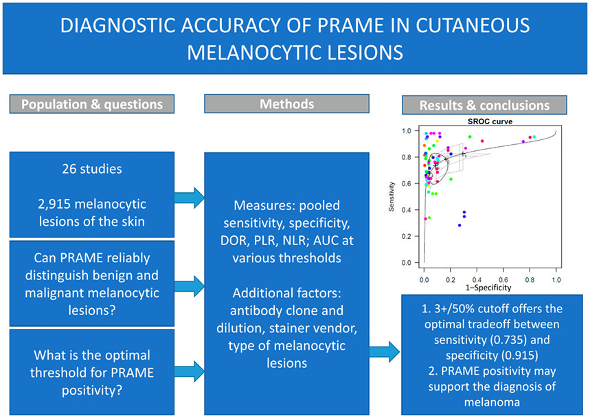 Diagnostic test accuracy meta-analysis of PRAME in distinguishing primary cutaneous melanomas from benign melanocytic lesions