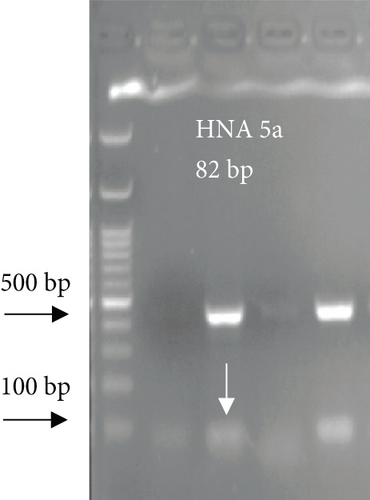 Details are in the caption following the image