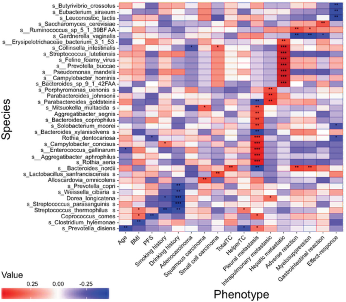 Metagenome association study of the gut microbiome revealed biomarkers linked to chemotherapy outcomes in locally advanced and advanced lung cancer