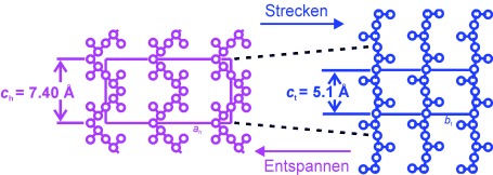 Polymorphic Superelasticity in Semicrystalline Polymers