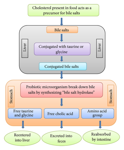 Details are in the caption following the image