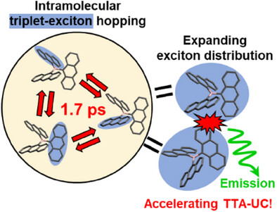 Vibronic Trimer Design Enhancing Intramolecular Triplet-Exciton Hopping to Accelerate Triplet-Triplet Annihilation for Photon Upconversion