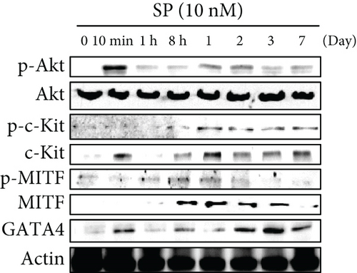 Details are in the caption following the image