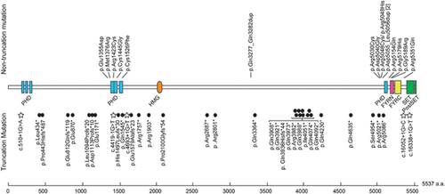 Details are in the caption following the image Details are in the caption following the image
