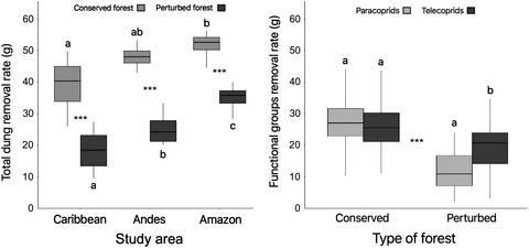 Human perturbations reduce dung beetle diversity and dung removal ecosystem function