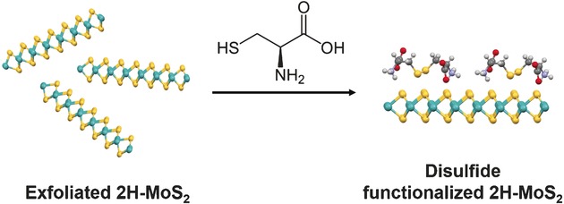 Functionalization of Two-Dimensional MoS2: On the Reaction Between MoS2 and Organic Thiols