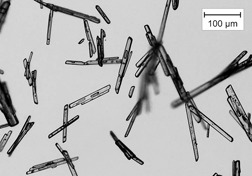 Generation of Crystalline Microcontainers of Salicylic Acid