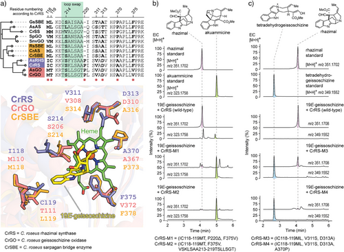 Details are in the caption following the image Details are in the caption following the image