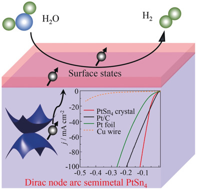 Dirac Nodal Arc Semimetal PtSn4: An Ideal Platform for Understanding Surface Properties and Catalysis for Hydrogen Evolution