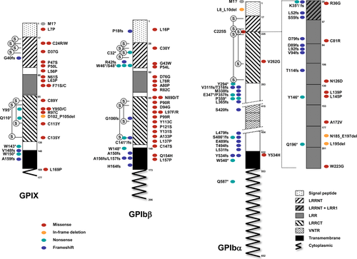 Details are in the caption following the image Details are in the caption following the image