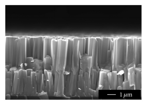 Details are in the caption following the image