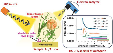Protein Electronic Energy Transport Levels Derived from High-Sensitivity Near-UV and Constant Final State Yield Photoemission Spectroscopy