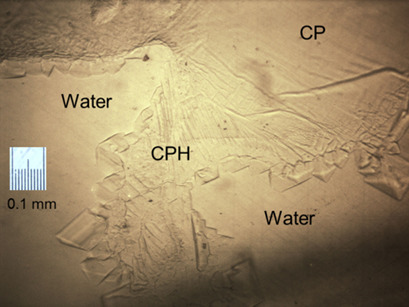 Crystallization Mechanisms and Rates of Cyclopentane Hydrates Formation in Brine
