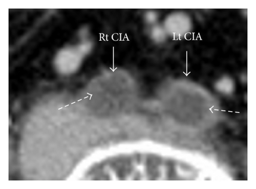 Details are in the caption following the image