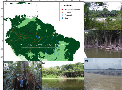 Advancing biodiversity assessments with environmental DNA: Long-read technologies help reveal the drivers of Amazonian fungal diversity