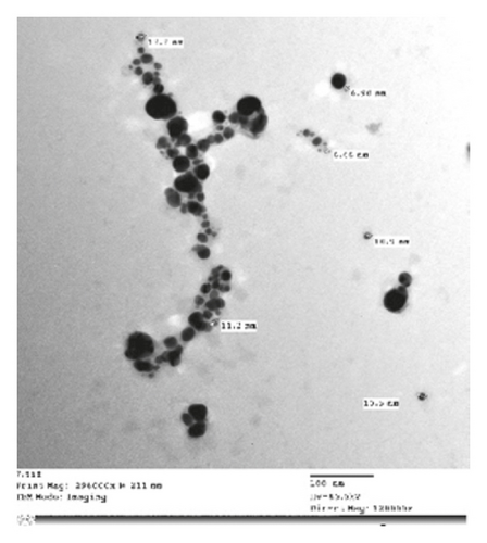 Details are in the caption following the image