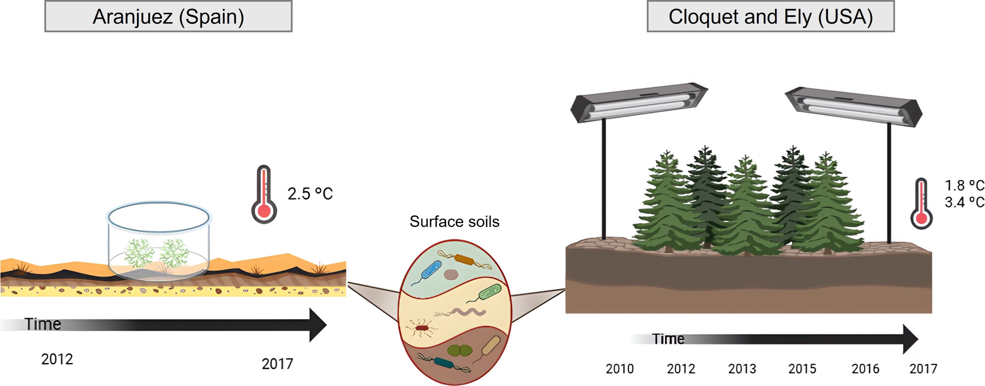 A Large Fraction of Soil Microbial Taxa Is Sensitive to Experimental Warming