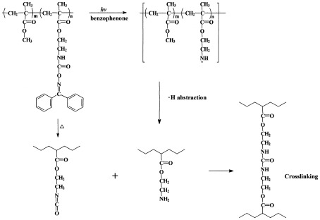 A polymeric photobase generator containing oxime–urethane groups: Crosslinking reaction and application to negative photoresist