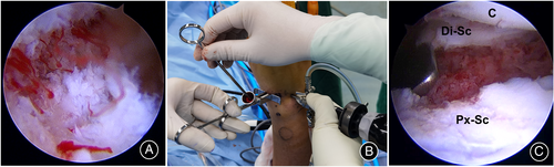 Details are in the caption following the image Details are in the caption following the image