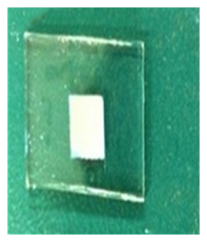 Details are in the caption following the image Details are in the caption following the image