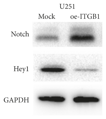 Details are in the caption following the image